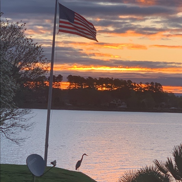 Cindy Lou Who Posh Ambassador. - Picture 9 of 16